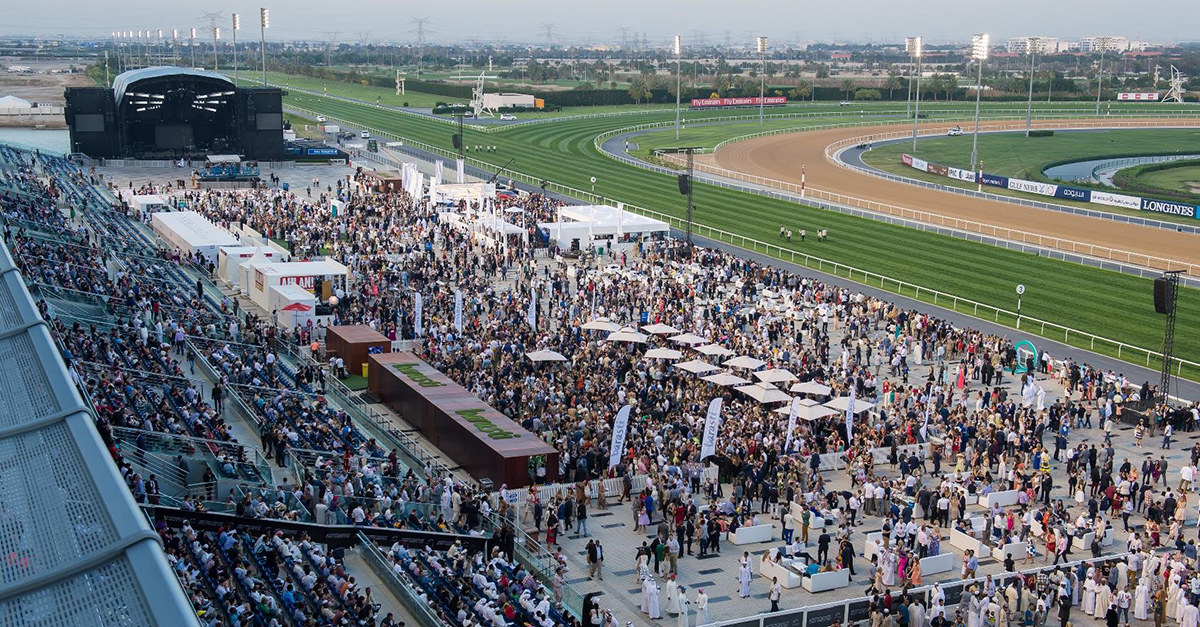 Your ultimate guide to Dubai World Cup 2024